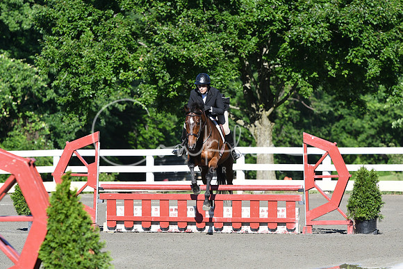 HSM_0201
