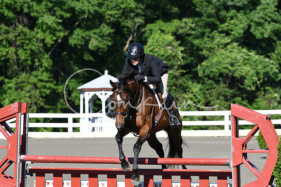 HSM_0203