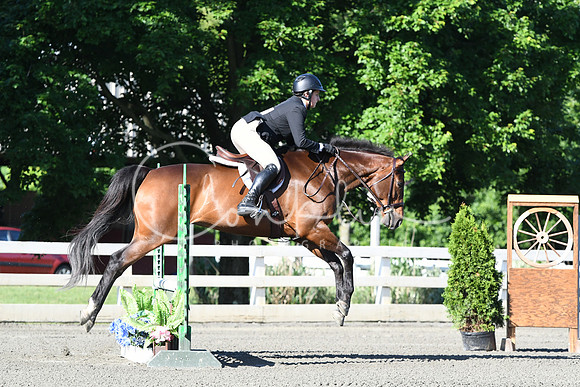 HSM_0205