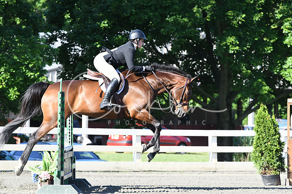 HSM_0234