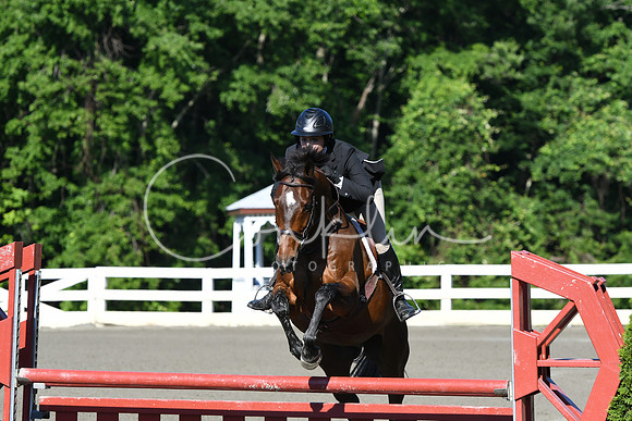 HSM_0296