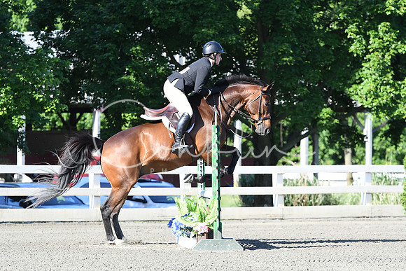 HSM_0298