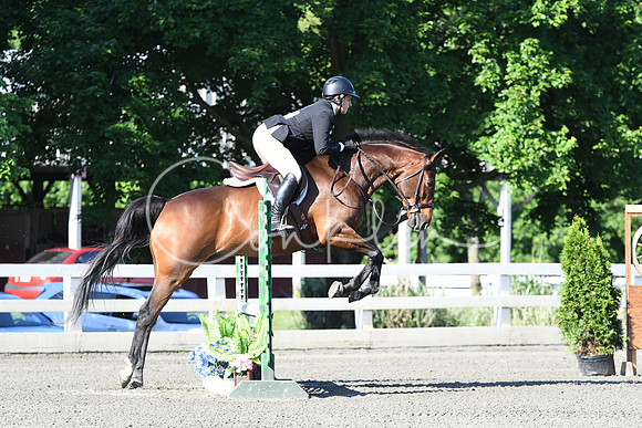 HSM_0299
