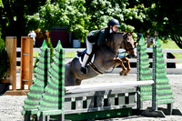 HSM_1323-1