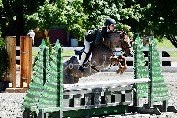 HSM_1323-1