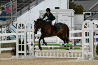 HSM_3022