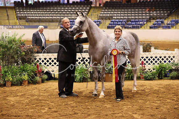 RJC35333