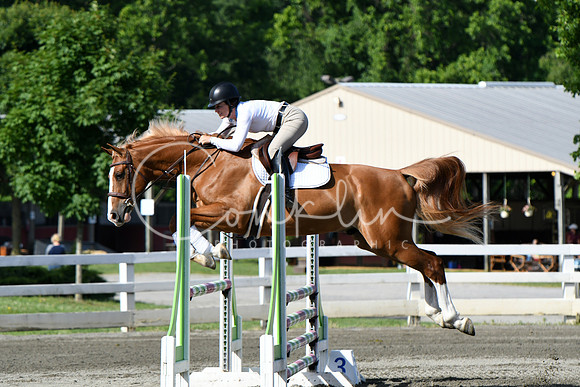 HSM_2083-1