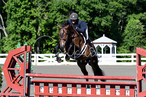 HSM_0278-1
