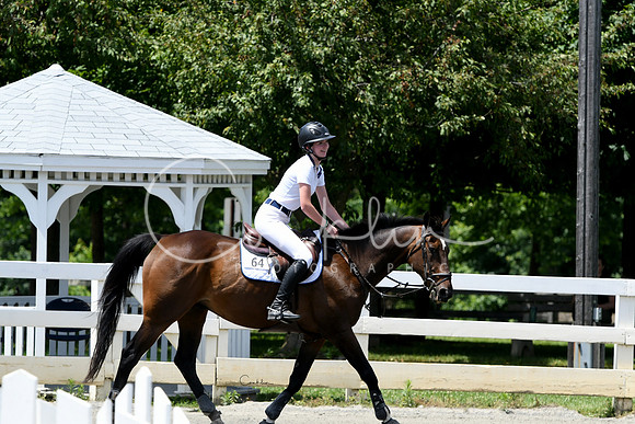 HSM_3181-1
