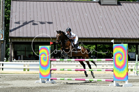 HSM_3162-1