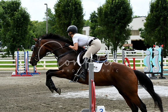 HSM_4454-1