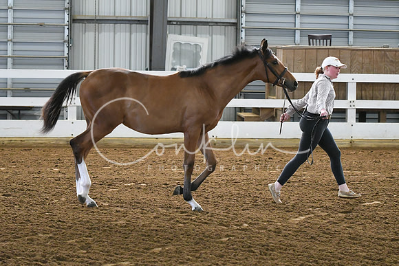 HSM_3631