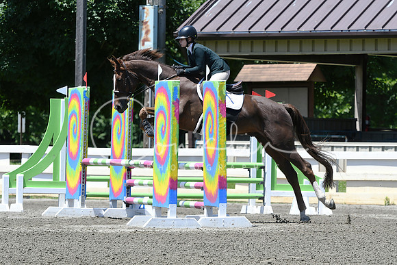 HSM_9423-1