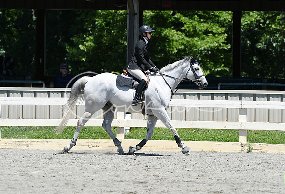 HSM_9025-1
