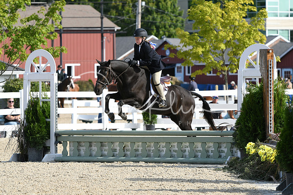 HSM_5909