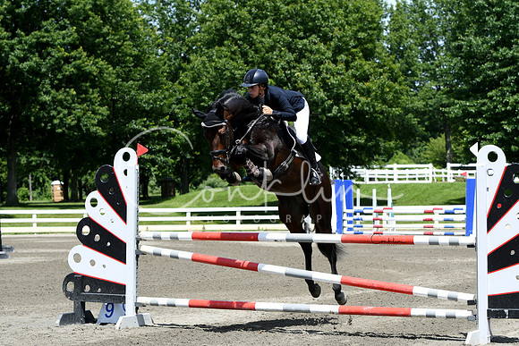 HSM_3278-1