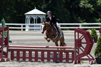 HSM_1108-1