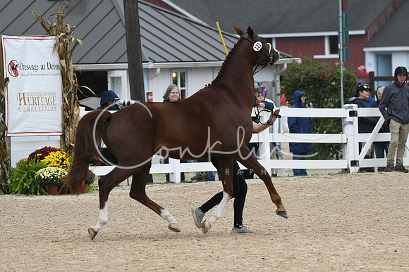 HSM_6884