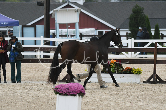 HSM_6833