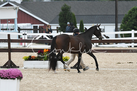 HSM_6834
