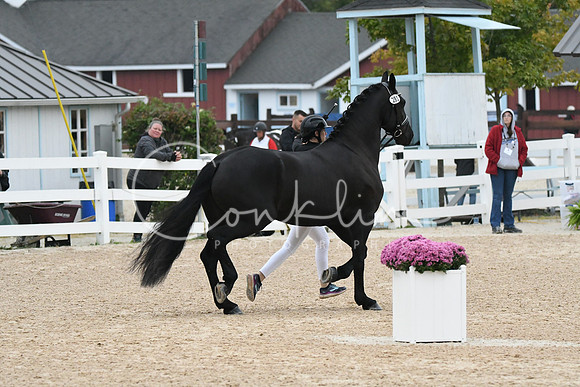 HSM_6996
