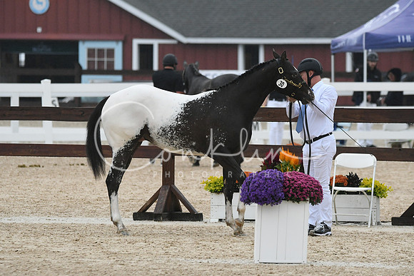 HSM_6859