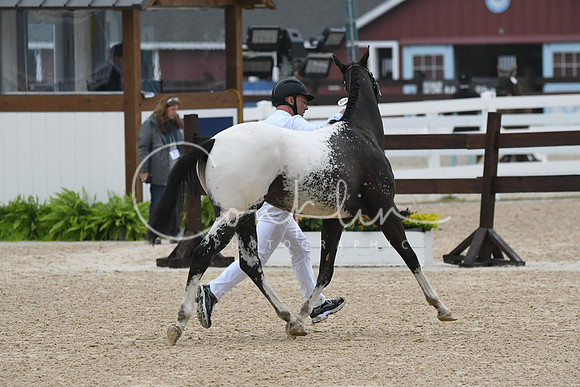 HSM_6867