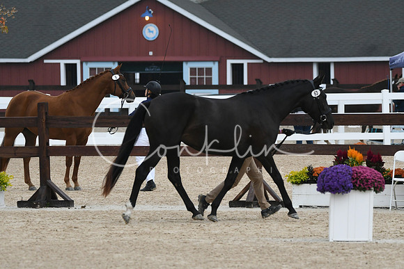 HSM_6816