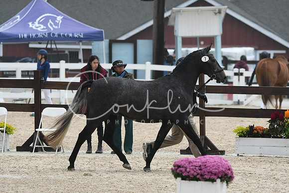 HSM_6909