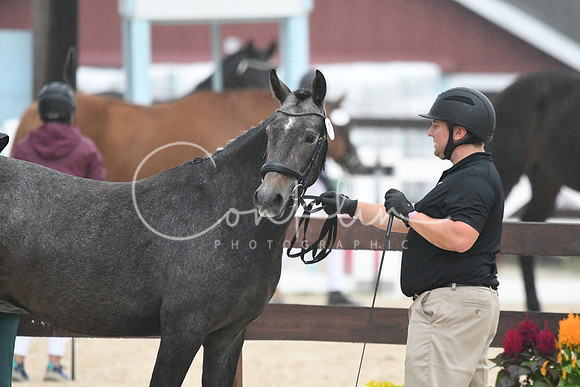 HSM_6897