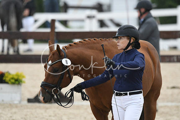 HSM_6846