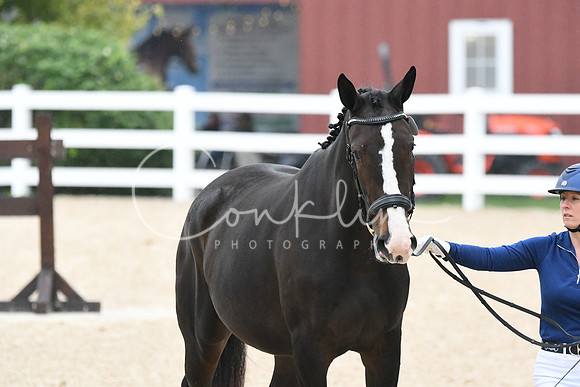 HSM_6961