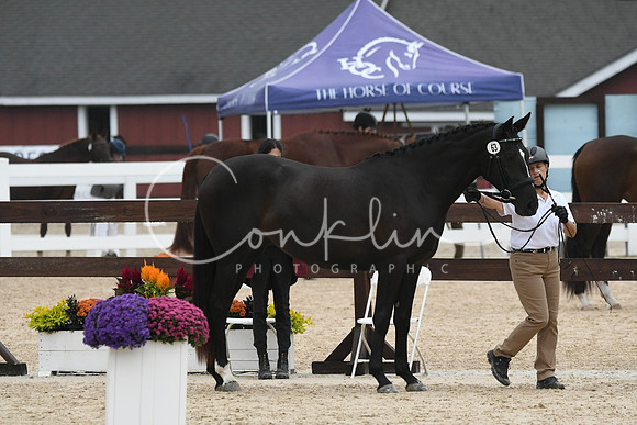 HSM_6806