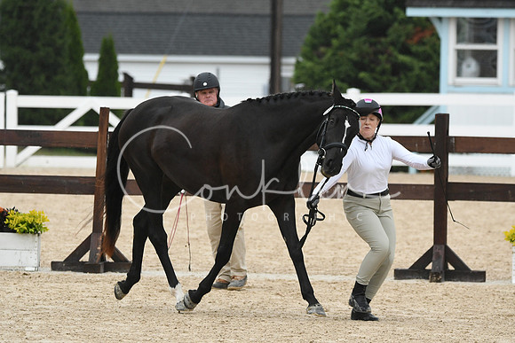 HSM_6741