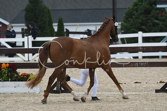 HSM_6770