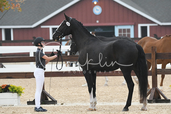 HSM_6798