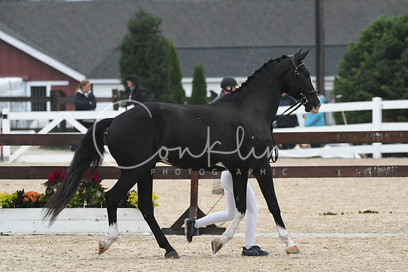 HSM_6792