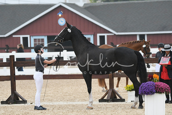 HSM_6795