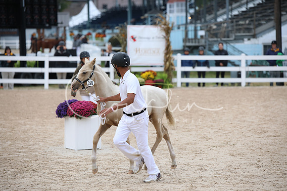 BW185294