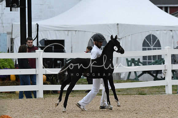 HSM_7164
