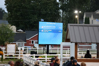 112 Pony Yearling Fillies-photos