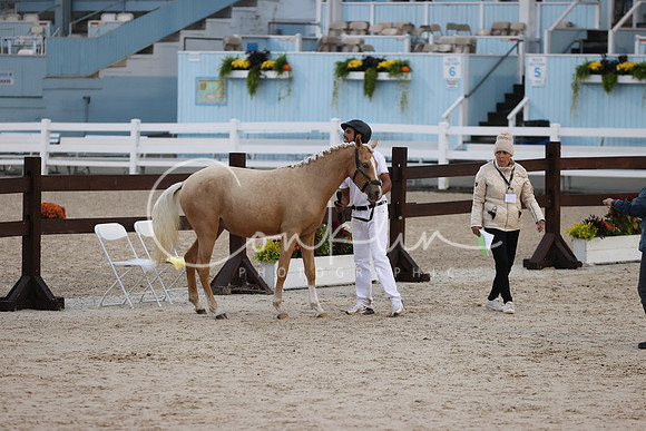 RJC34239