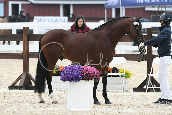 HSM_7195