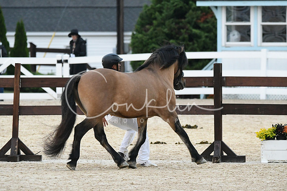 HSM_7263