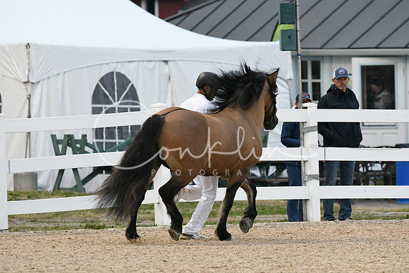 HSM_7279