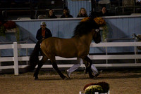 MAK_3278