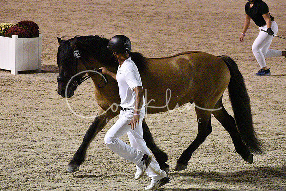 MAK_3317