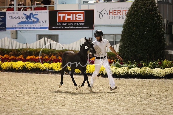 RJC34509