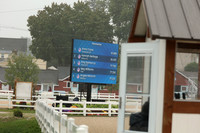 131 Hanoverian-photos